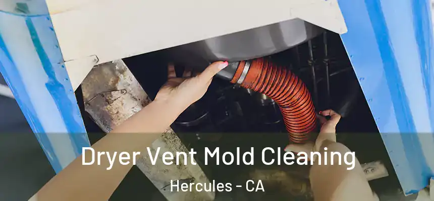 Dryer Vent Mold Cleaning Hercules - CA