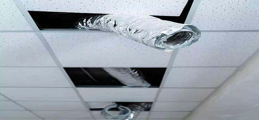 Our Air Duct Pet Hair Removal Services in Hercules, CA