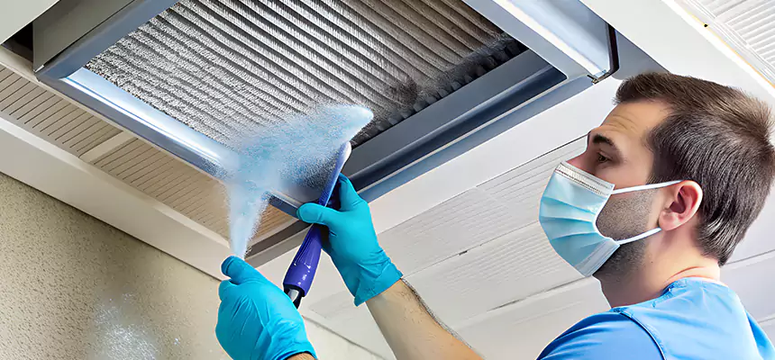 Proactive Dryer Vent & Auxiliary Duct Pollen Cleanup in Hercules, CA