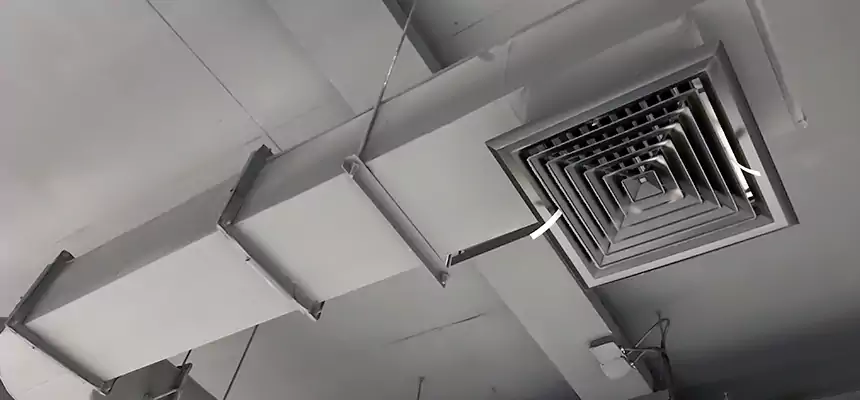 Our Pest Removal From Ducts Services in Hercules, CA