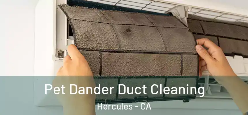 Pet Dander Duct Cleaning Hercules - CA