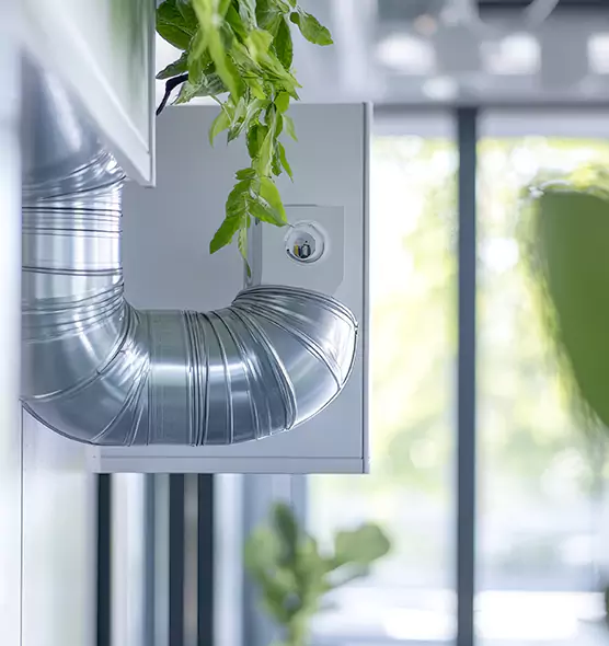 Professional Eco-Safe Dryer Vent Cleaning in Hercules, CA