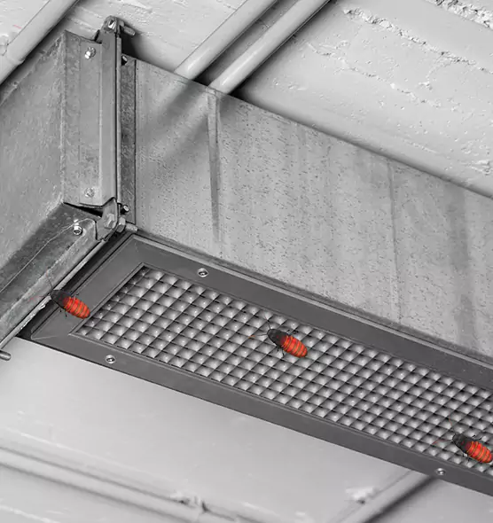 Affordable Insect Removal from Air Ducts in Hercules, CA