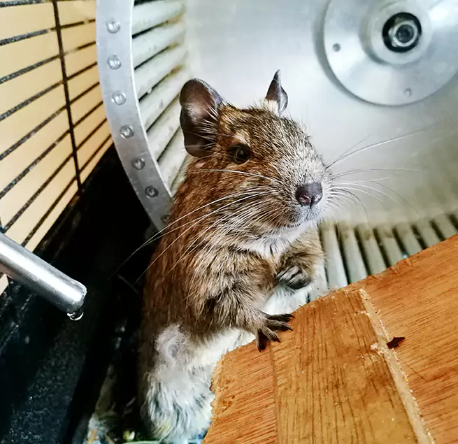 Why Homeowners & Businesses Trust Us Hercules, CA