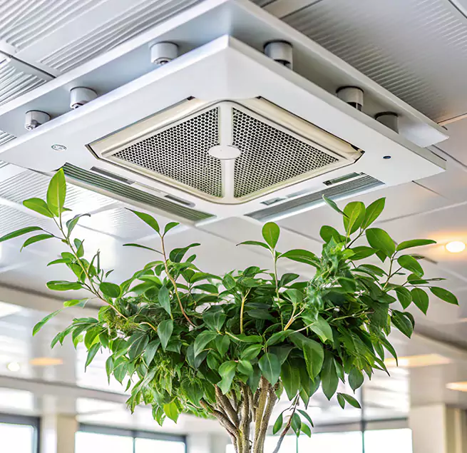 Why Homeowners & Businesses Trust Us in Hercules, CA